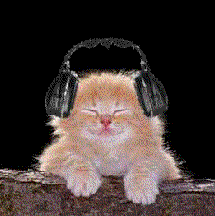 AN-CAT_LISTEN_TO_MUSIC.GIF