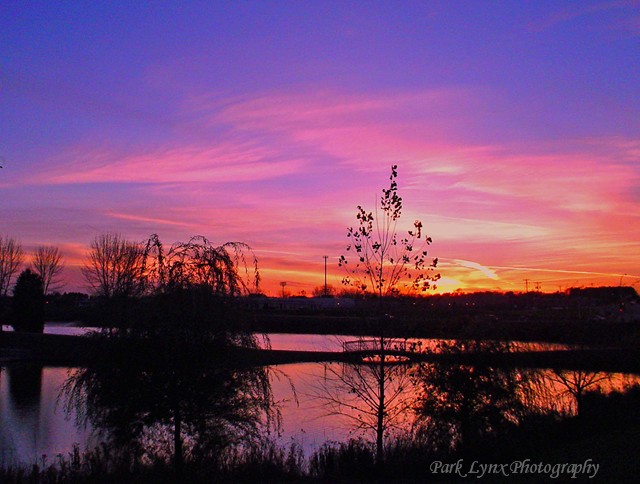 sunset photo