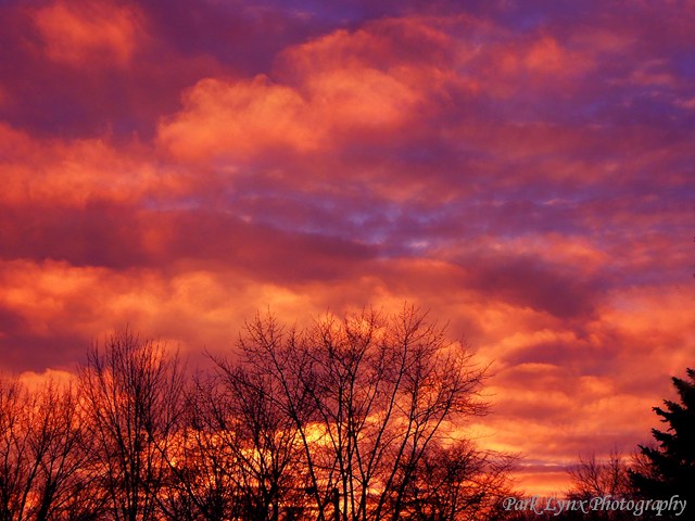 sunset photo