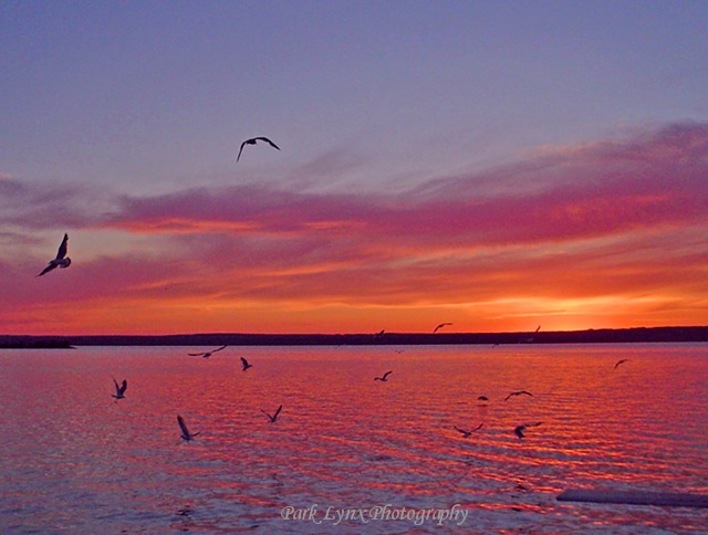 sunset photo