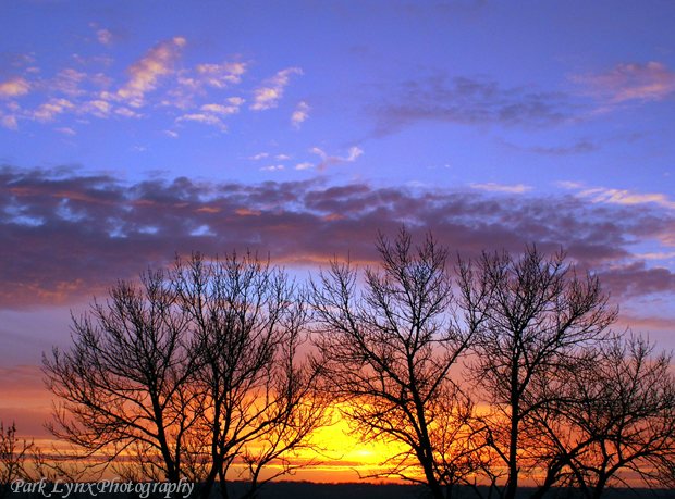 sunset photo