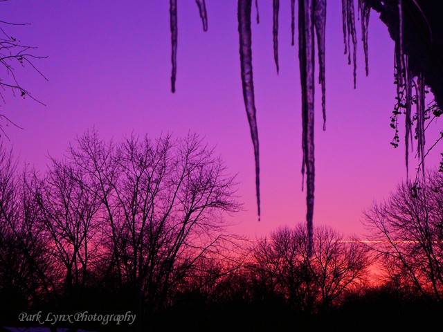 sunset photo